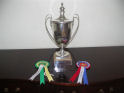 The Craig Seller Cup for the Champion Bull