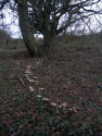 Ancient woodland at Wroxall Copse